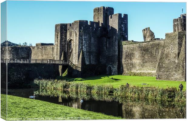 The Castle in Caerphilly  Canvas Print by Jane Metters