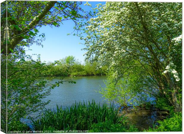 River Beyond the Trees Canvas Print by Jane Metters