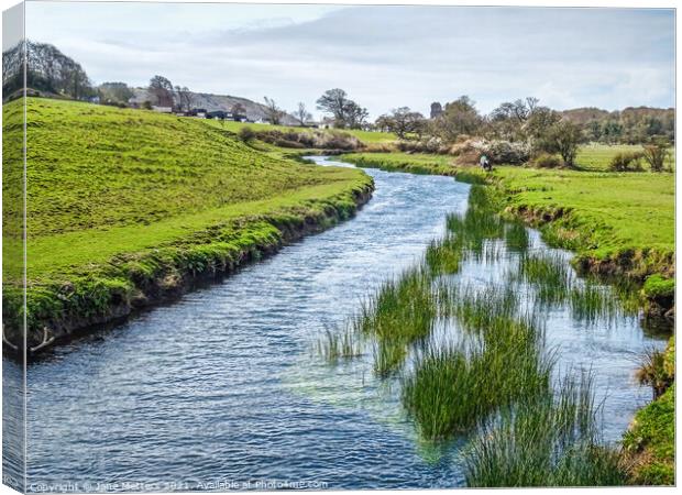 Winding River Canvas Print by Jane Metters