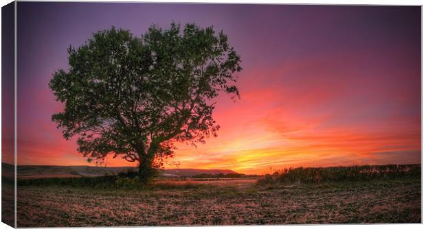 Love Canvas Print by Michael Baldwin