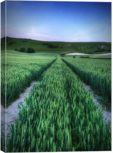 Tracks to the Man Canvas Print by Michael Baldwin