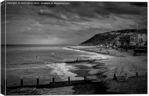 The Majestic Serenity of Cromer Beach Monochrome Canvas Print by Avril Harris