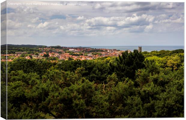 Majestic Views of Cromer Canvas Print by Avril Harris