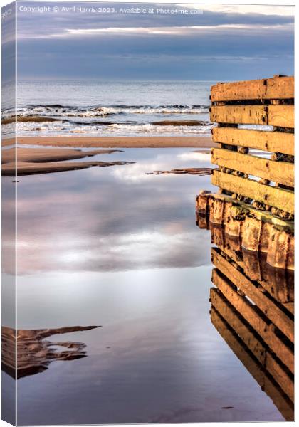 Groyne reflects at low tide. Canvas Print by Avril Harris