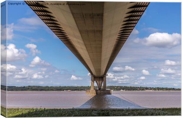 Under the Humber Bridge Canvas Print by Avril Harris