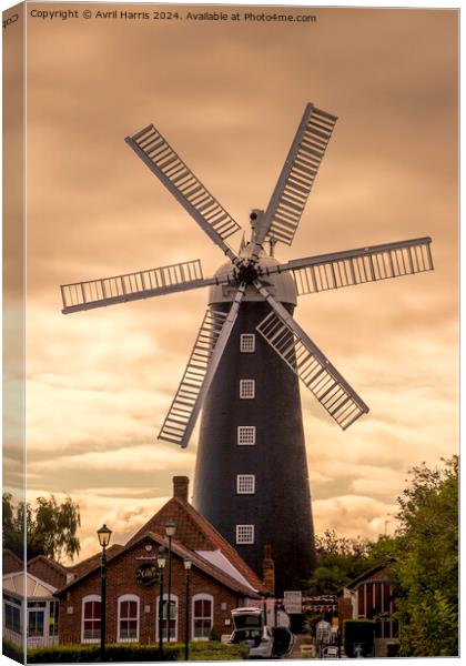 Waltham Windmill Grimsby Canvas Print by Avril Harris