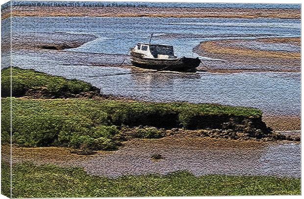 Boat moored in the mud Canvas Print by Avril Harris