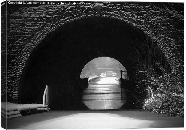 Newbold Tunnel Black and White Canvas Print by Avril Harris