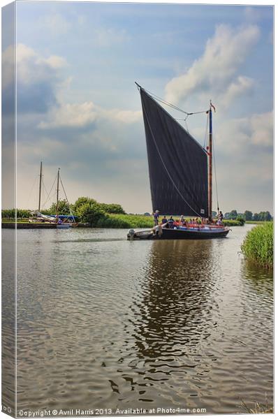 Albion on the River Thurne Canvas Print by Avril Harris