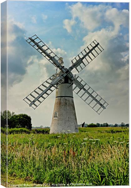 Thurne Dyke Drainage Mill Canvas Print by Avril Harris