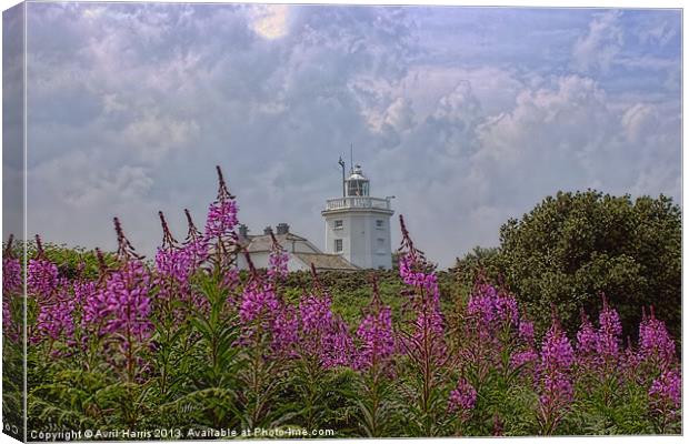 Purple flowers with Cromer lighthouse Canvas Print by Avril Harris