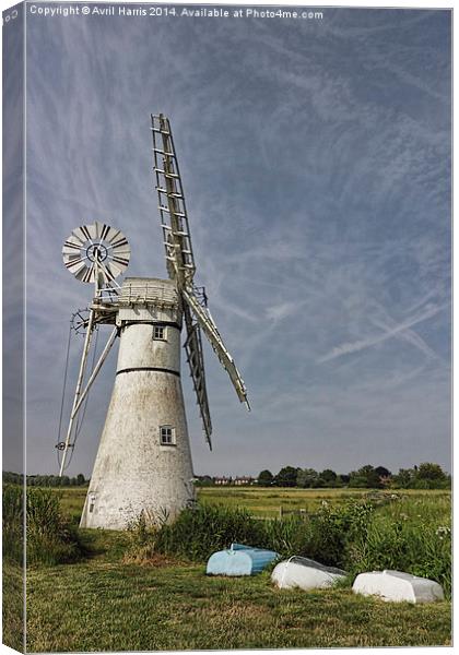 Thurne Dyke Mill and Boats Canvas Print by Avril Harris