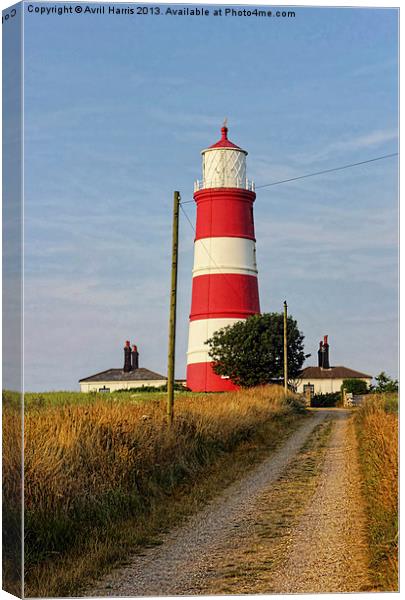 Happisburgh Lighthouse North Norfolk Canvas Print by Avril Harris