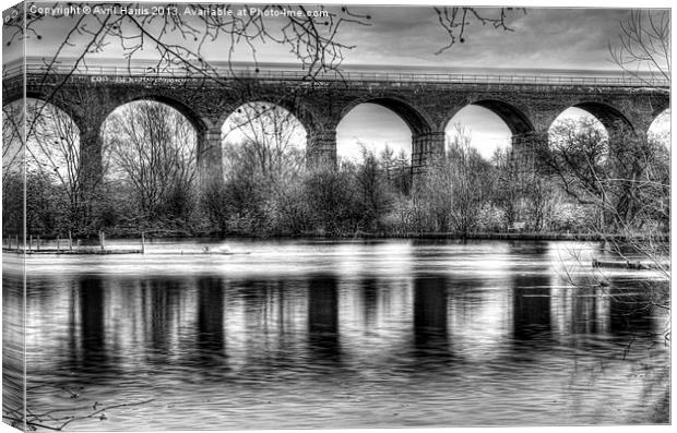Viaduct at Reddish Vale Country Park Canvas Print by Avril Harris