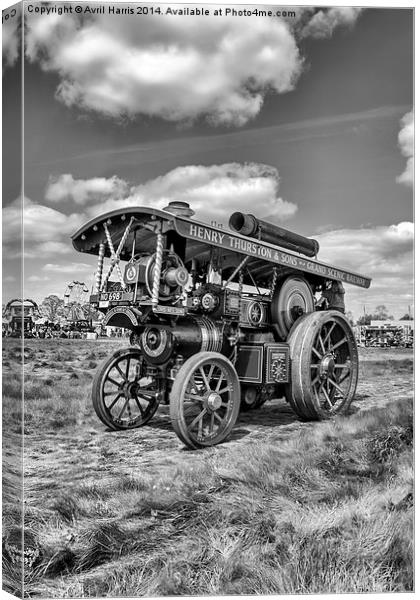 Showmans Engine "Lord Nelson" Black and White Canvas Print by Avril Harris