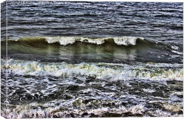  A wave of reflection Canvas Print by Avril Harris