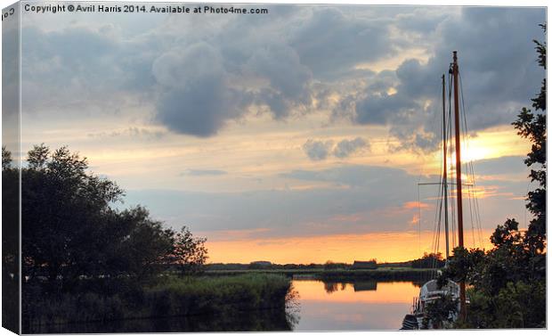  Sunset at horsey mere Canvas Print by Avril Harris