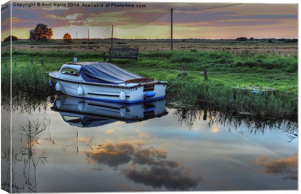 Boat at West Somerton  Canvas Print by Avril Harris