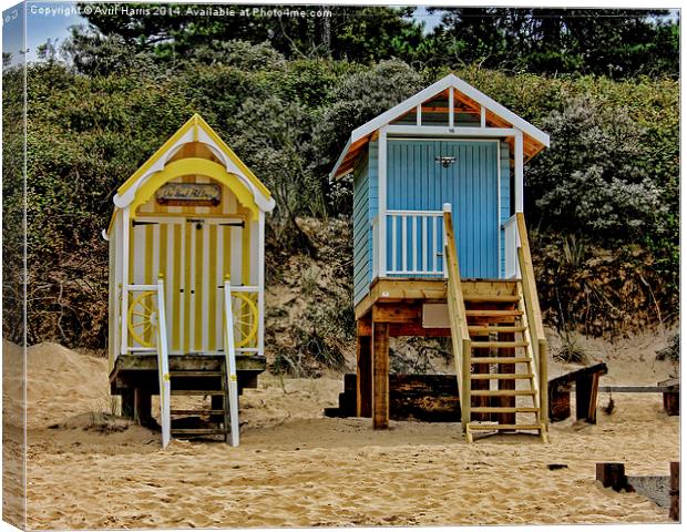 Wells next the sea beach huts Canvas Print by Avril Harris