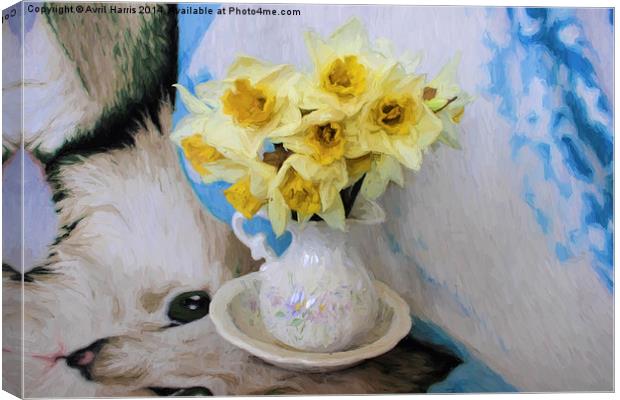 Daffodils Canvas Print by Avril Harris