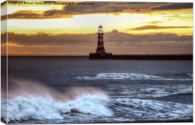  Roker pier and lighthouse sunrise Canvas Print by Avril Harris