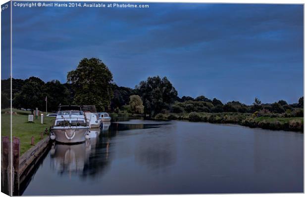  River Bure Coltishall at twilight Canvas Print by Avril Harris