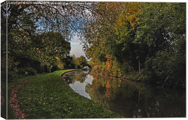  Oxford Canal in the Autumn Canvas Print by Avril Harris