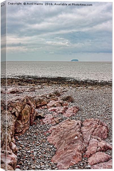 Steep Holm Bristol Channel Canvas Print by Avril Harris