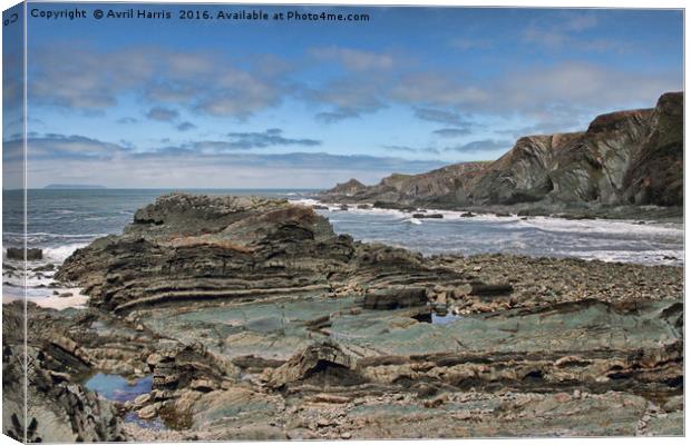 Hartland Quay Coast Canvas Print by Avril Harris