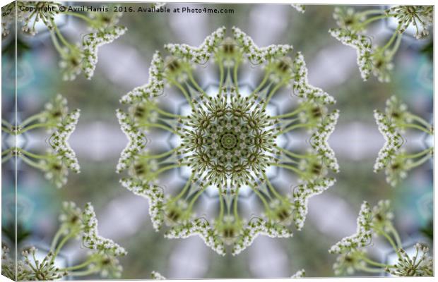 White Kaleidoscope Flower Canvas Print by Avril Harris