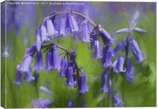 Bluebell Arch Canvas Print by Avril Harris