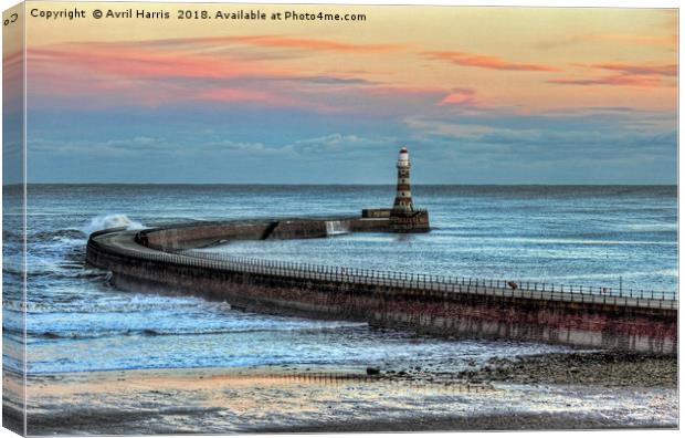 Roker Pier and Lighthouse Canvas Print by Avril Harris