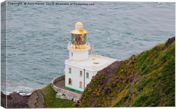 Hartland Point Lighthouse Devon Canvas Print by Avril Harris