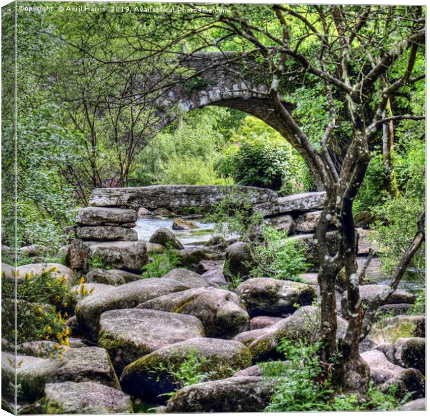 Two Bridges at Dartmeet Devon Canvas Print by Avril Harris