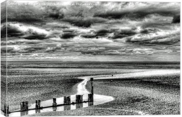 Cleethorpes Beach Monochrome Canvas Print by Avril Harris