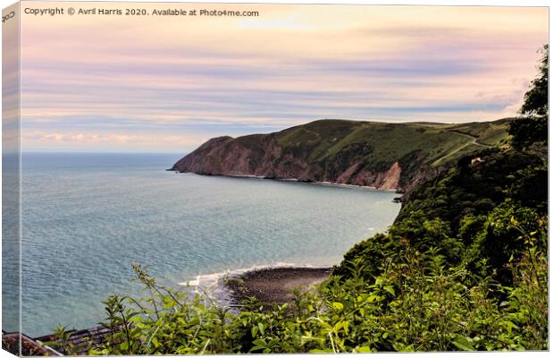 Lynmouth Bay Exmoor Canvas Print by Avril Harris