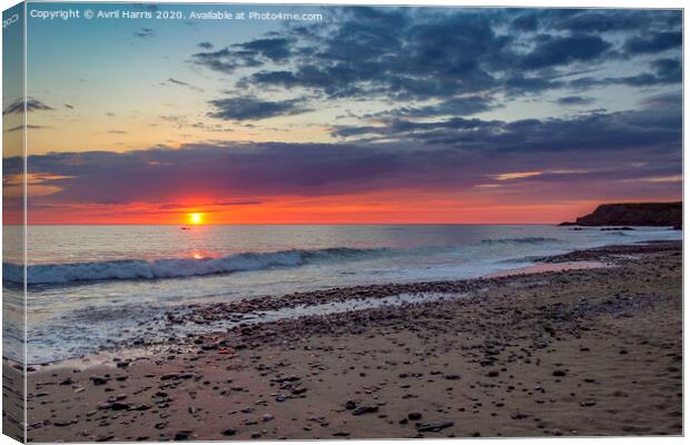 Majestic Sunset at Widemouth Bay Canvas Print by Avril Harris