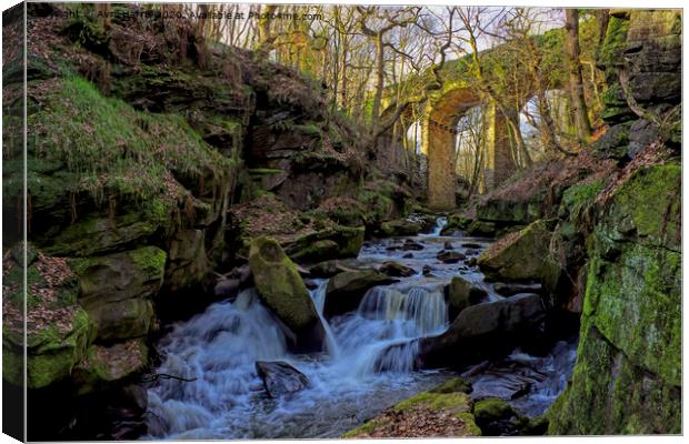 Fairies Chapel Healey Dell Canvas Print by Avril Harris