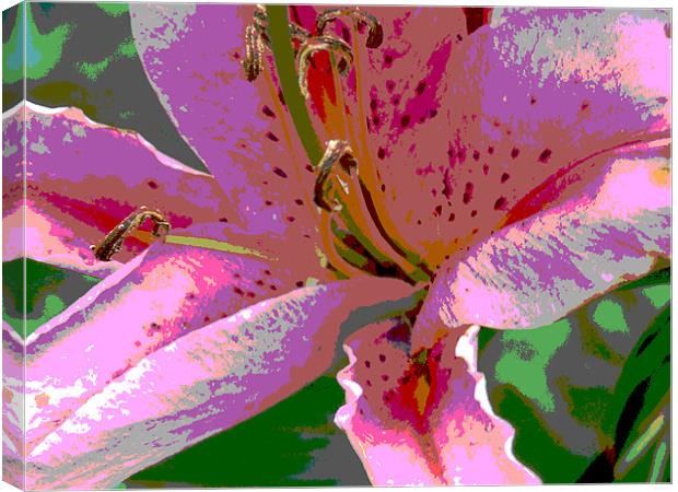 pop art Lily Canvas Print by carin severn