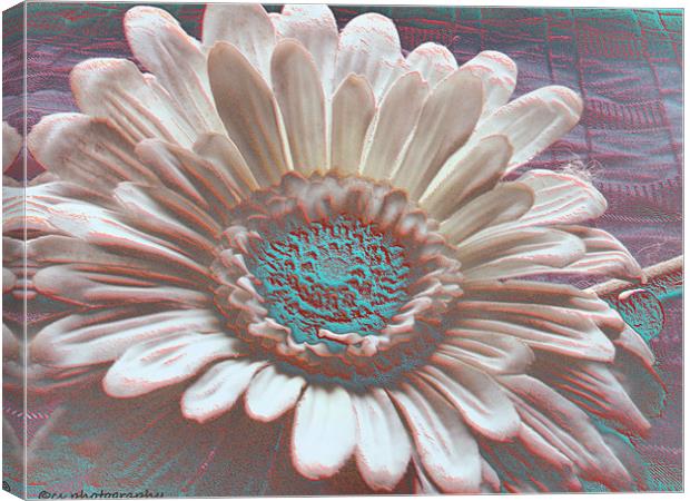 flower of color Canvas Print by carin severn