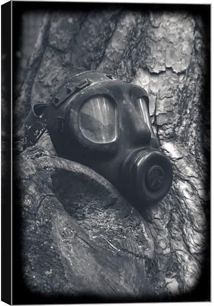 gas mask Canvas Print by carin severn