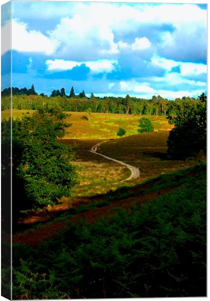  lonely path  Canvas Print by carin severn