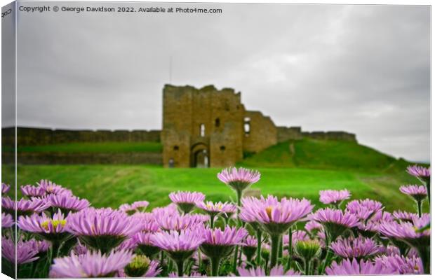 Flowers at the Castle Canvas Print by George Davidson