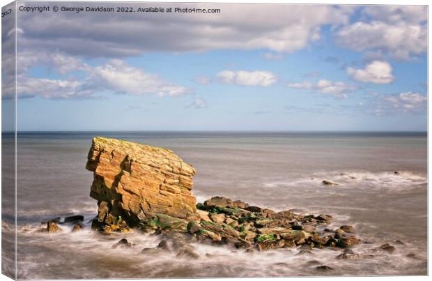 Collywell Bay 2  Canvas Print by George Davidson