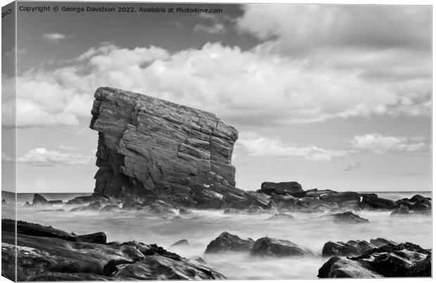 Collywell Bay 4 Canvas Print by George Davidson