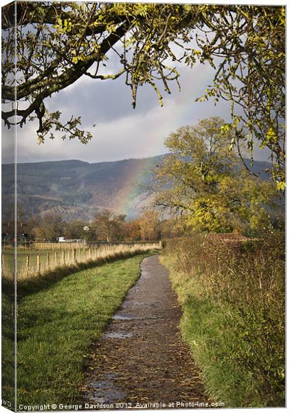To the End of the Rainbow Canvas Print by George Davidson