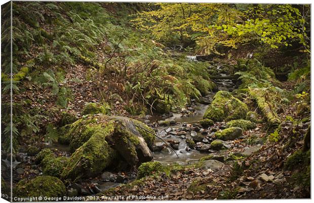 Babbling Brook Canvas Print by George Davidson
