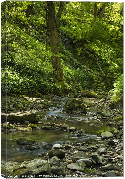 Slow River Canvas Print by George Davidson