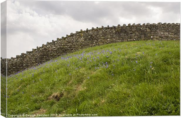 Walled Off Canvas Print by George Davidson