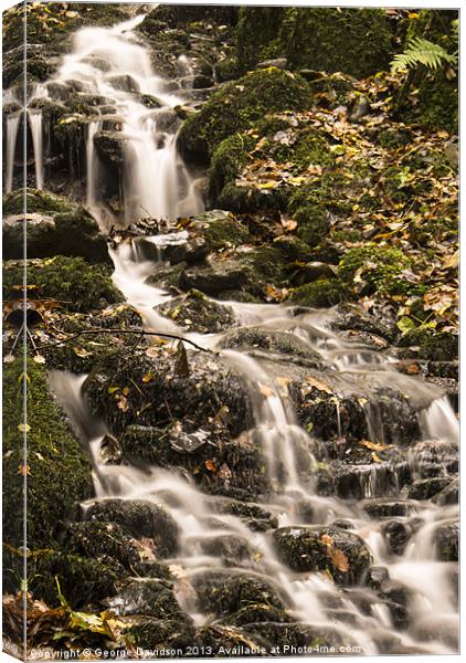 Running Water Canvas Print by George Davidson